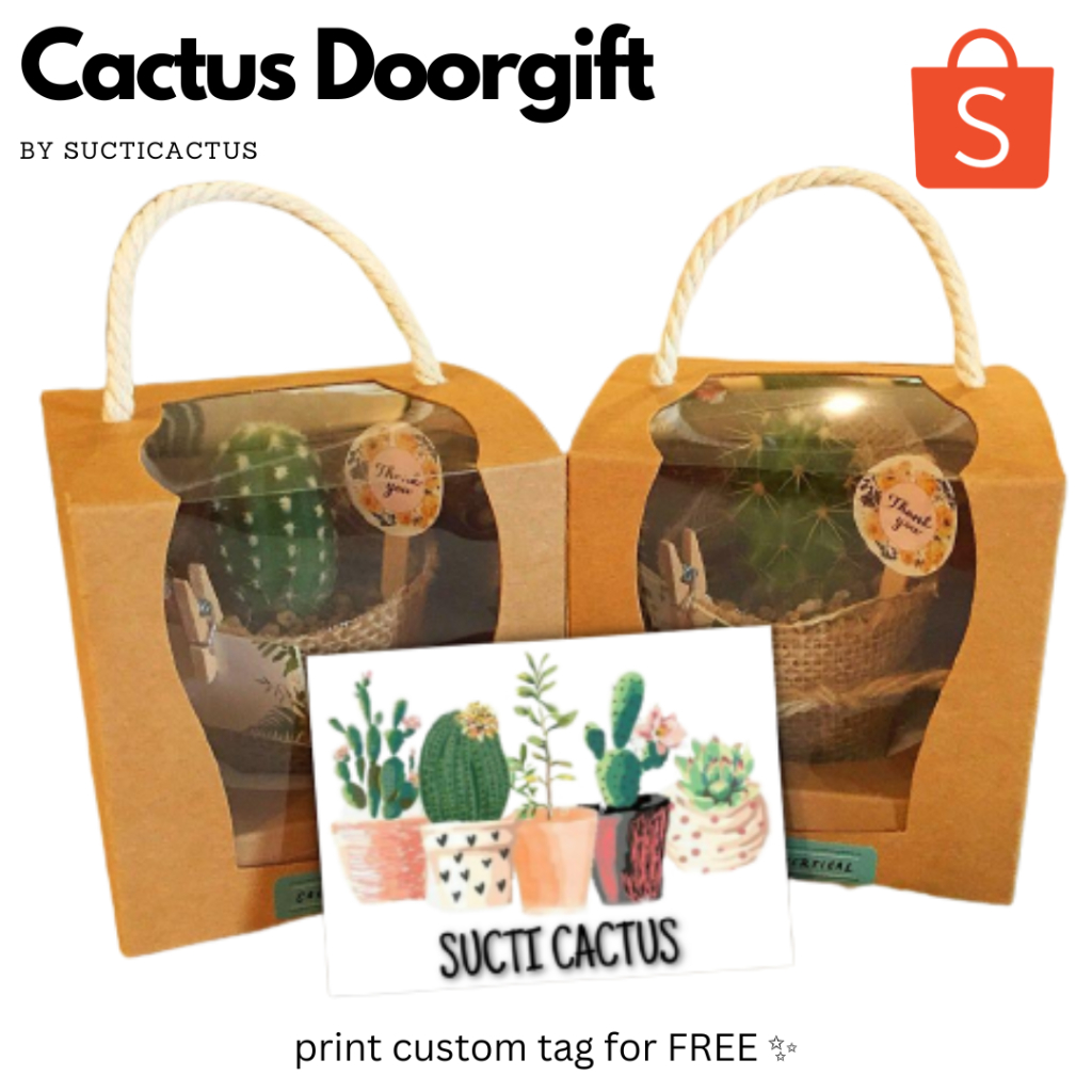 [Bundle Deal] Cactus Succulent DoorGift box goodies mini gift Souvenir ...