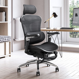 Mesh Office Chair Adjustable Chair Great Various Sihoo M57 All Fabric  Aluminum Modern Commercial Furniture Swivel Chair Regular - China Swivel  Boss Chair, High Back Chair