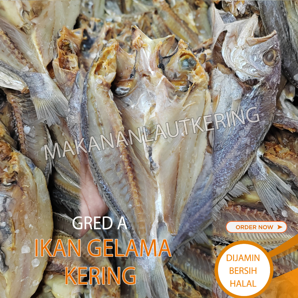 Ikan Kering Gelama Belah Saiz Sederhana Besar (Ready Stock) | Shopee ...