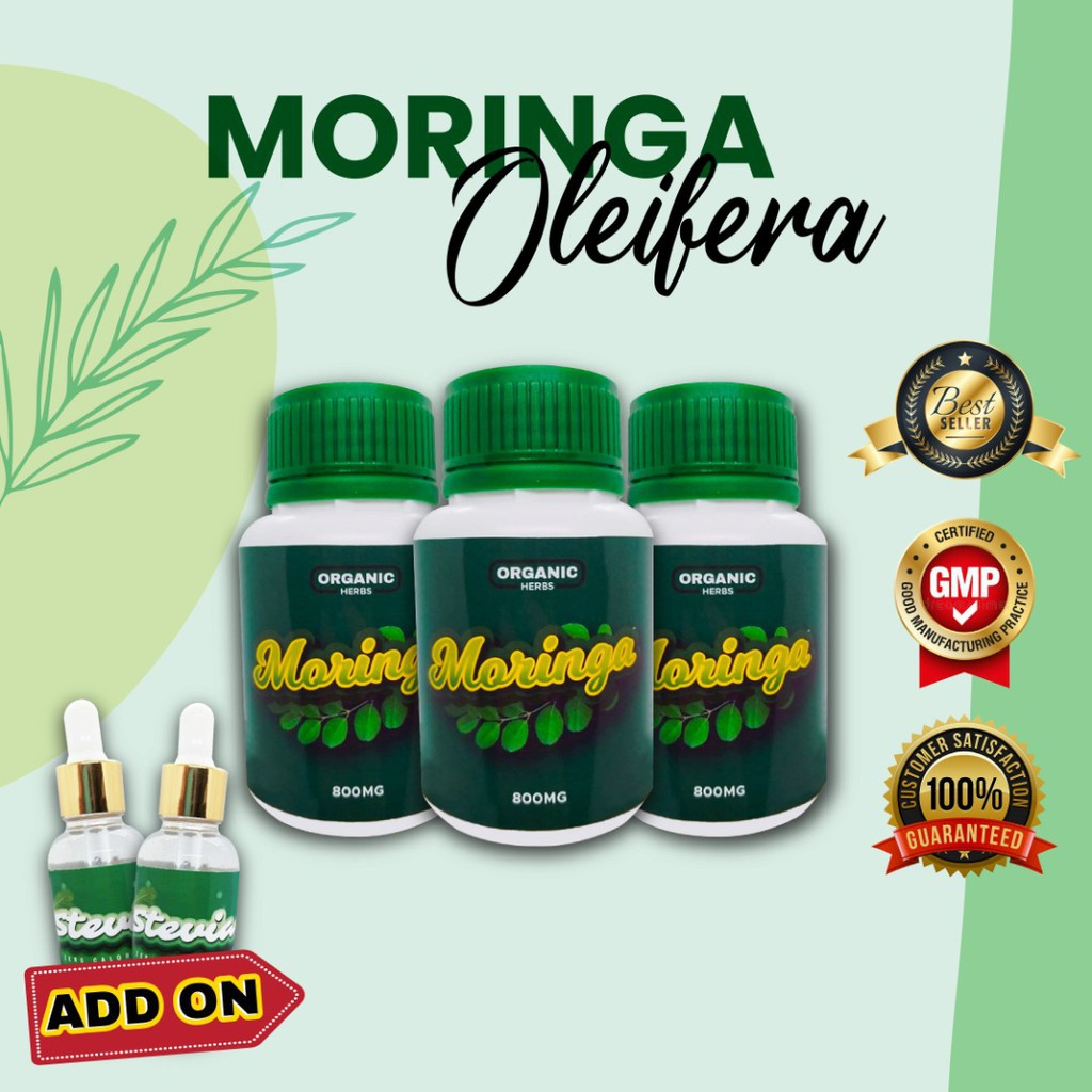 Moringa Samen (Moringa Oleifera) – 20 Stück Mit Anzuchtanleitung, Der ‚Wunderbaum‘
