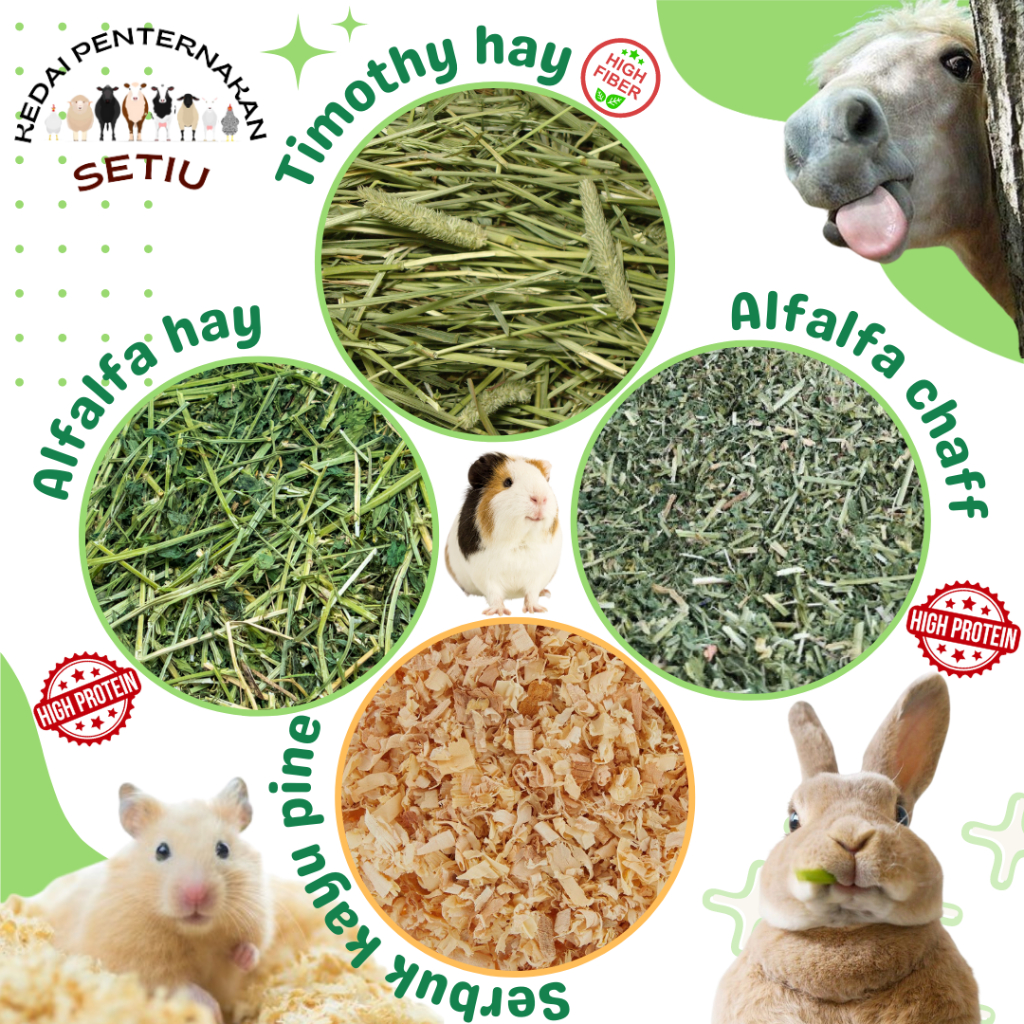 Is alfalfa hay good best sale for bunnies