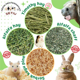 Alfalfa hay vs timothy hay for guinea hot sale pigs