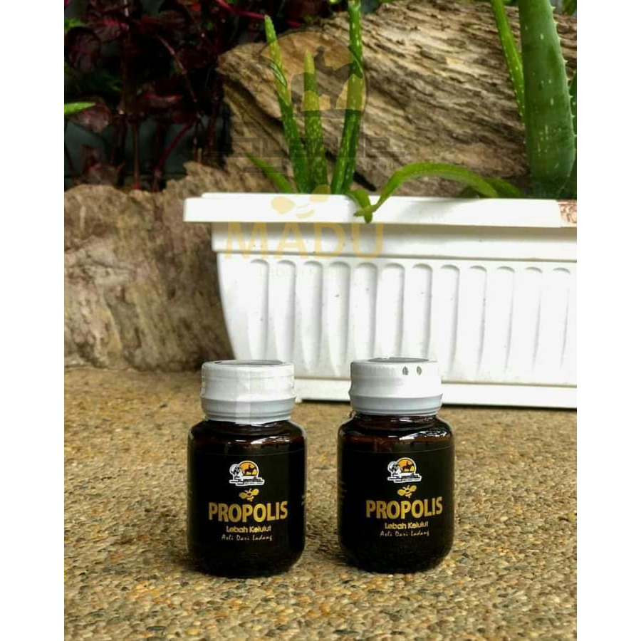 Propolis soft gel - Syamille | Shopee Malaysia