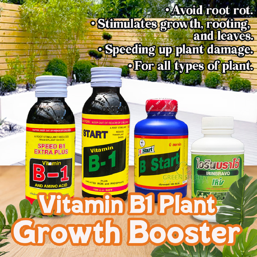 GNC B1 Vitamin Pokok (Chelated Iron & Phospated) Baja Penggalak Akar