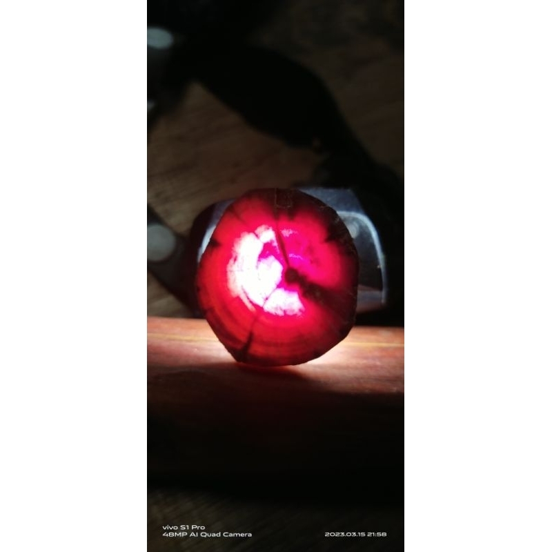 Raja Kayu Merah Asli 100% Original | Shopee Malaysia