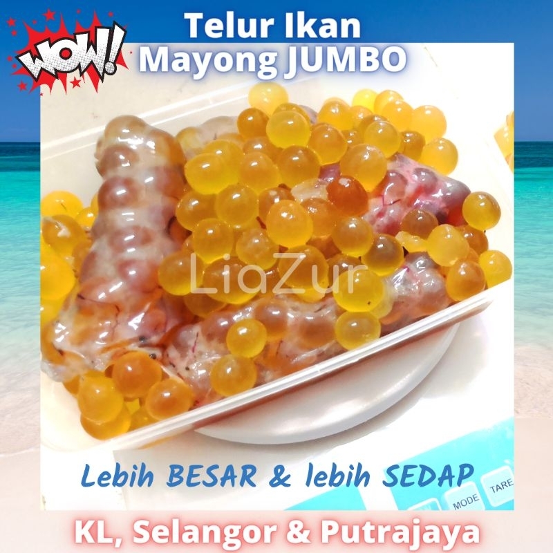 Telur Ikan Mayong Jumbo Biji Telur Ikan Sebesar Guli Klselangorputrajaya Sahaja Shopee 7027