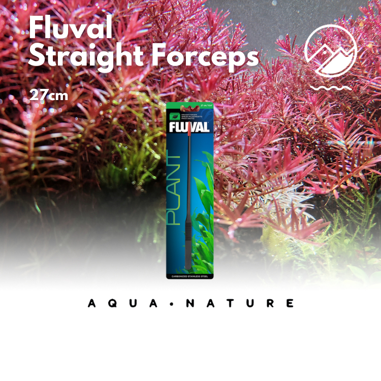 Fluval Aquascape Tools Straight Forceps (Carbonized Stainless Steel