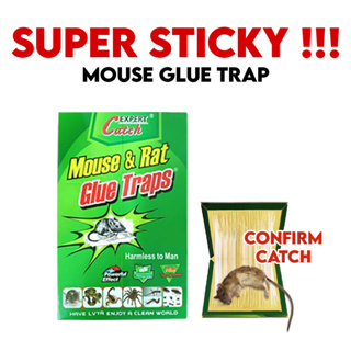 Green Killer Mouse & Rat Sticky Glue Trap Board Pest Control Rats Catcher  Papan Pelekat Tikus