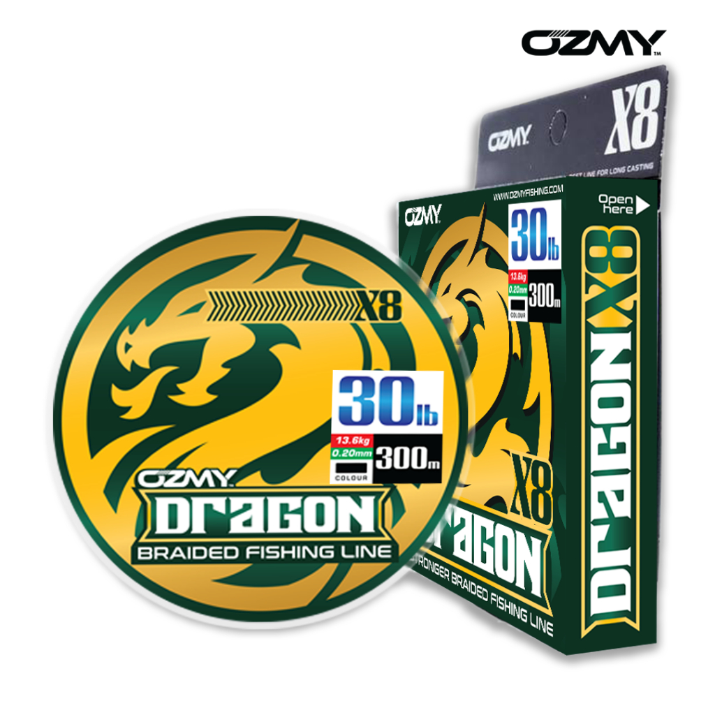 Dali Ma PE X8 Braided Fishing Line Big Fish Lure Main Line For River Lake And Stream Fishing