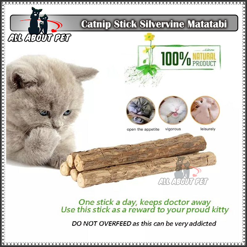 Catnip Cat Treats Wood Matatabi Teeth Molar Cleaning Cat Chew Stick Catmint Cat Snack High