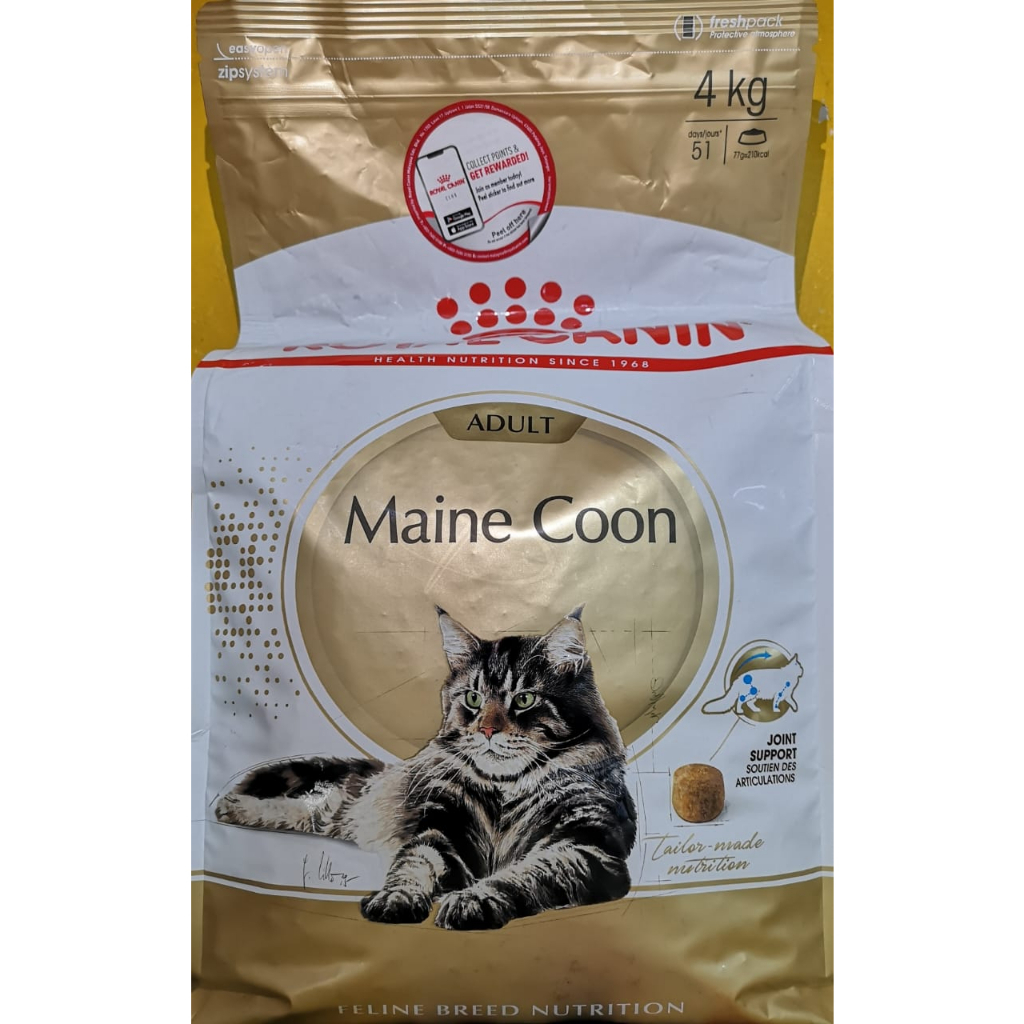 Royal canin maine coon hotsell 4 kg