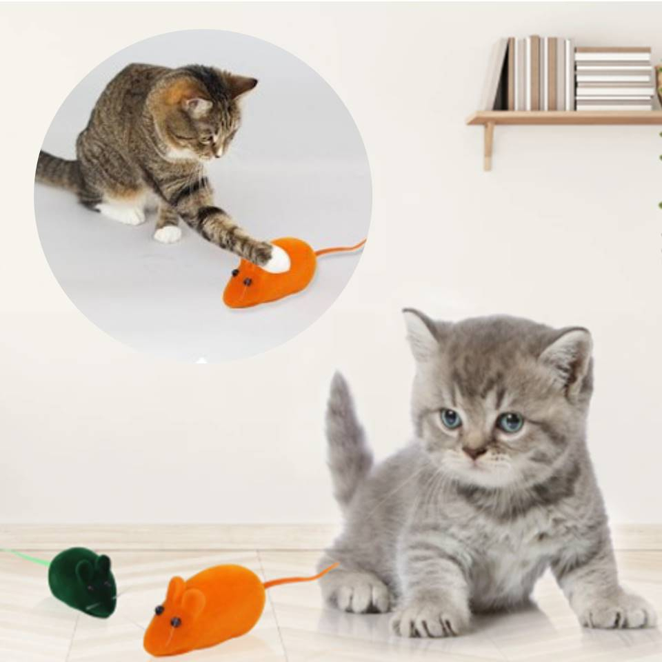Colorful realistic pet flocking sounding mouse(Random Colour) | Shopee ...