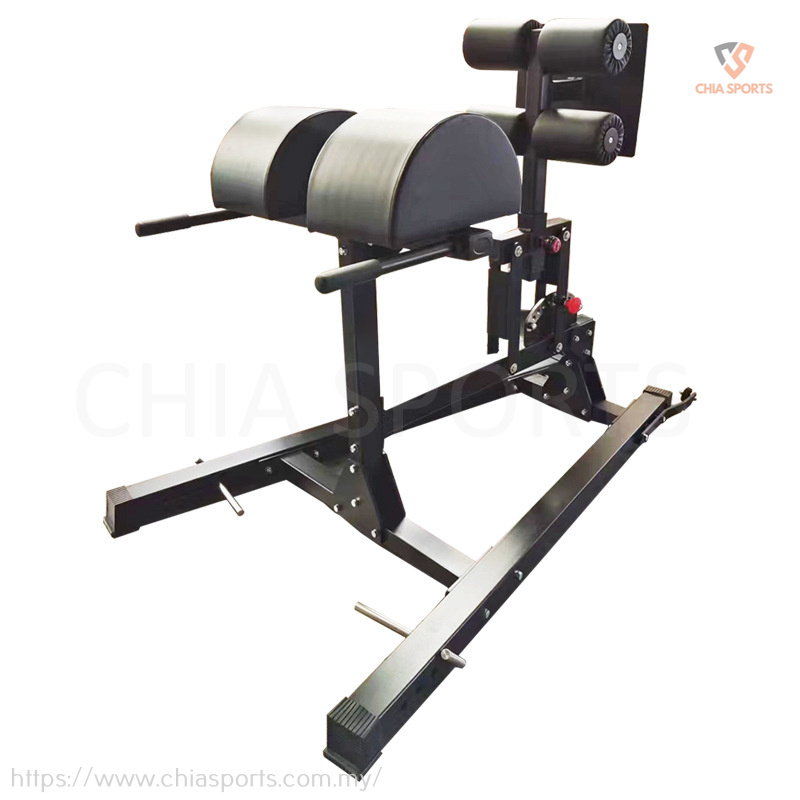 Commercial Adjustable GHD Machine Glute Ham Developer Back Hyper