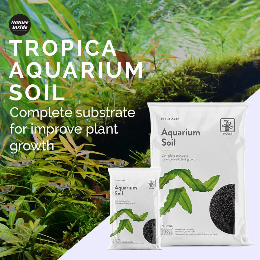 Ada - Aqua Soil Powder Amazonia 9l