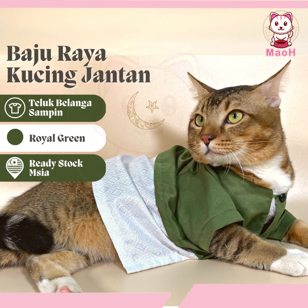 MaoH Baju Raya Kucing Jantan (Royal Green) Teluk Belanga Sampin 2024