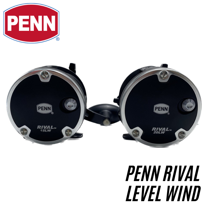 Moulinet Penn MARE 25GLS Vintage - Multiplicateur Avec Level Wind, Fabriqué Aux USA, Neuf