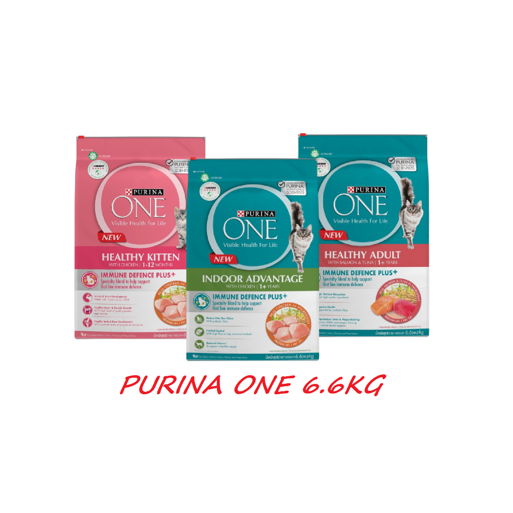 Purina One Adult / Kitten /Indoor Cat Food 6.6kg Shopee Malaysia