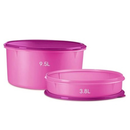 (Ready Stock)TUPPERWARE : Take a lot set 3.8L & 9.5L | Shopee Malaysia