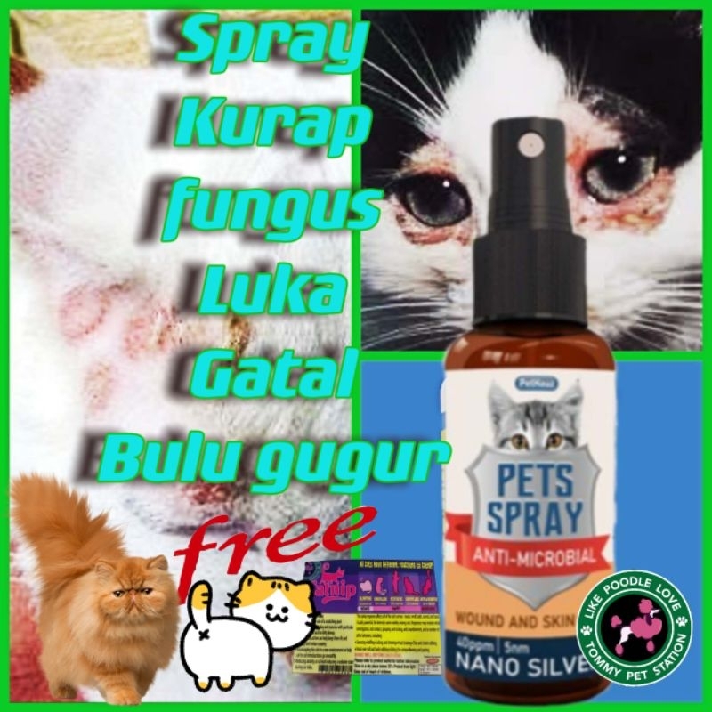 Ubat Kurap Kucing Luka Sporo Pets Spray 50ml Pethauz Nano Silver