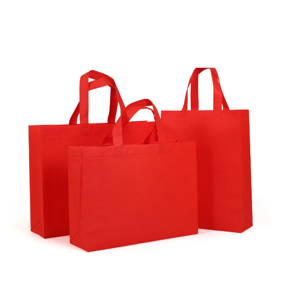 Eterpack A4/A3 Non Woven Bag / Shopping Woven Bag / Gift Bag / Tote Bag ...