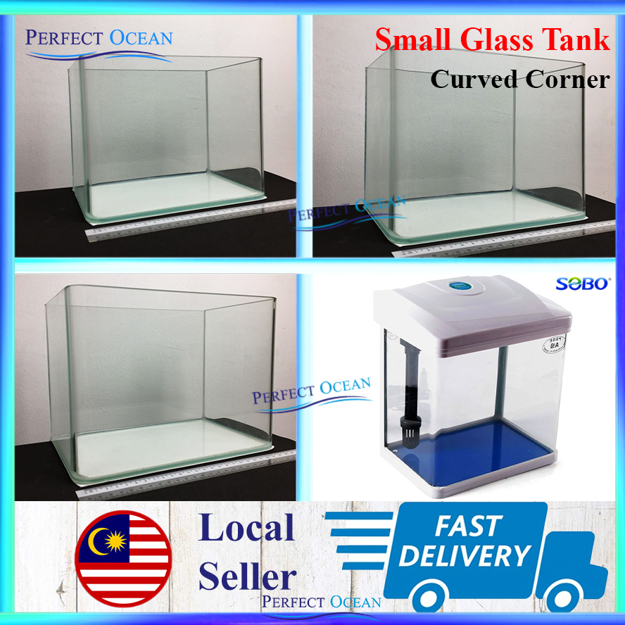 Curved Corner Glass Aquarium Fish Tank [Small] Kaca Ikan Laga Guppy 小鱼缸