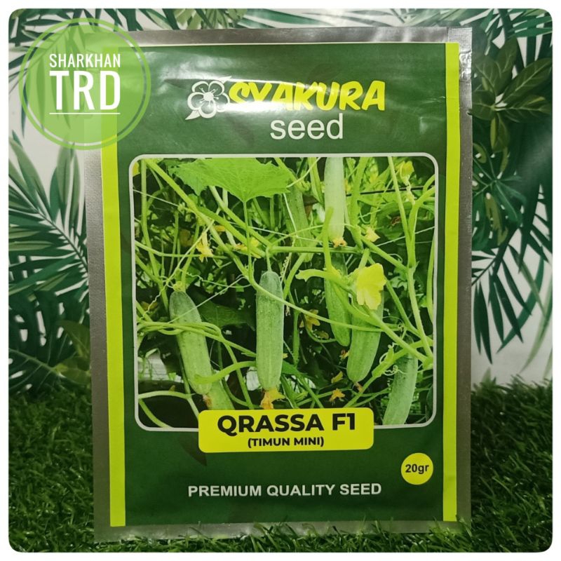 Paket 20g (+-800 biji) QRASSA F1 Timun Mini Syakura Seed Biji Benih ...