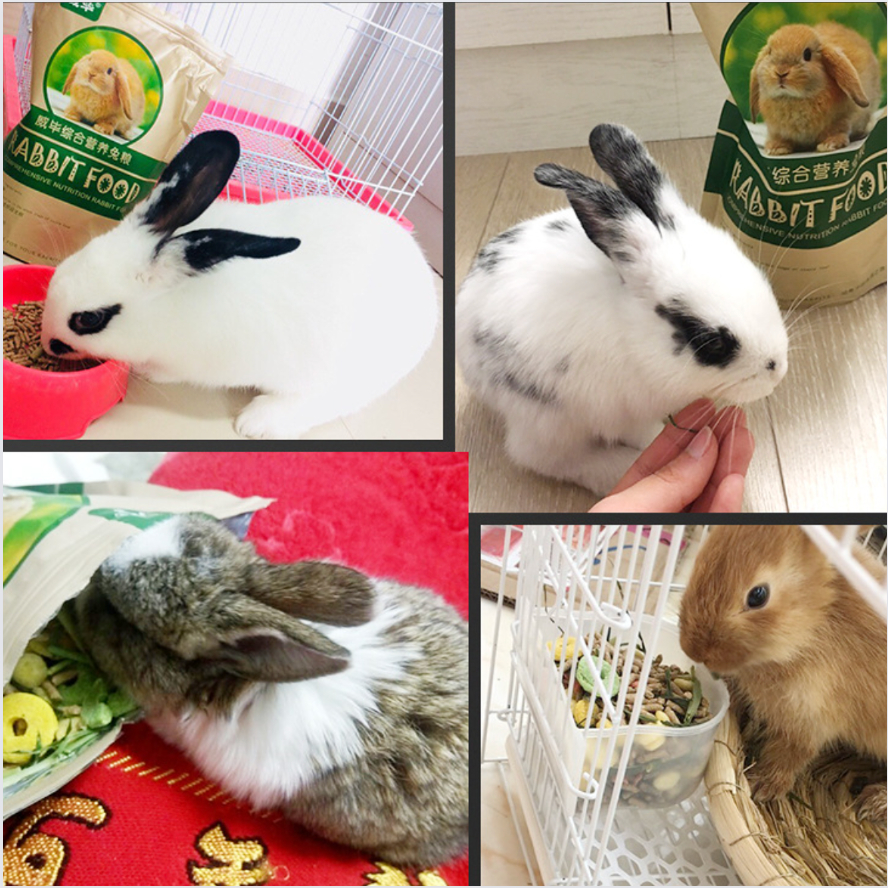 WEIBI Premium Rabbit large Food