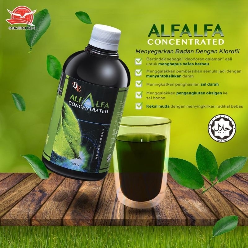 💥💥Alfalfa Concentrated | Energy Drink💥💥 | Shopee Malaysia