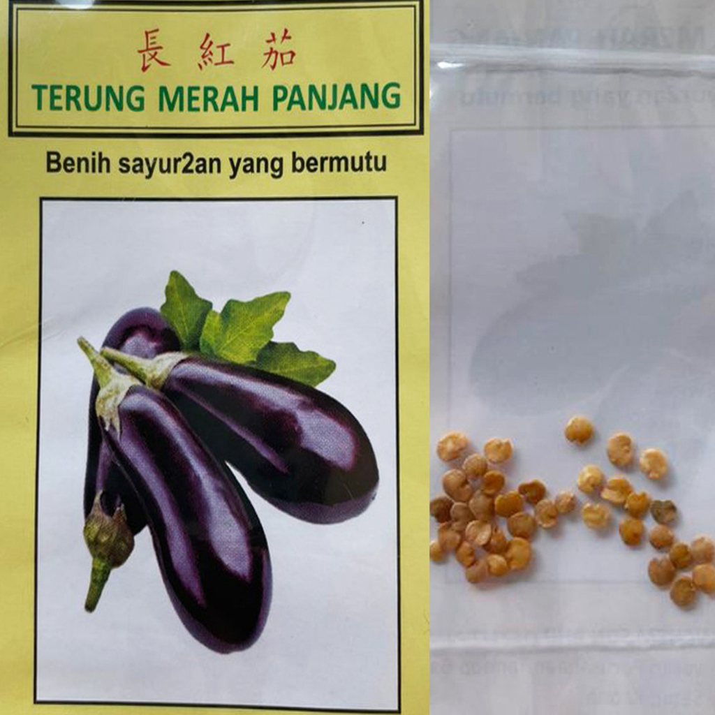 Biji Benih Sayuran Berdaun Vegetable Seed Shopee Malaysia