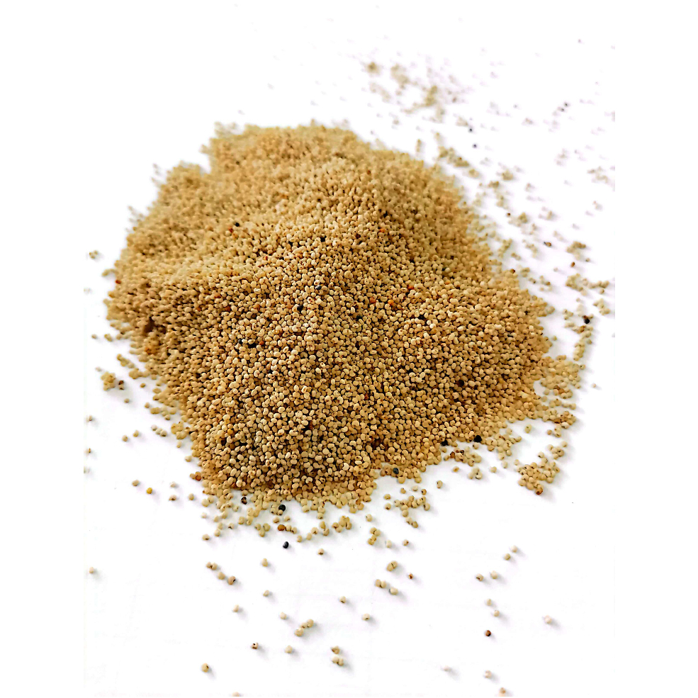 Alfa Cinta Khus Khus Seed / Biji Kas Kas 30g Shopee Malaysia