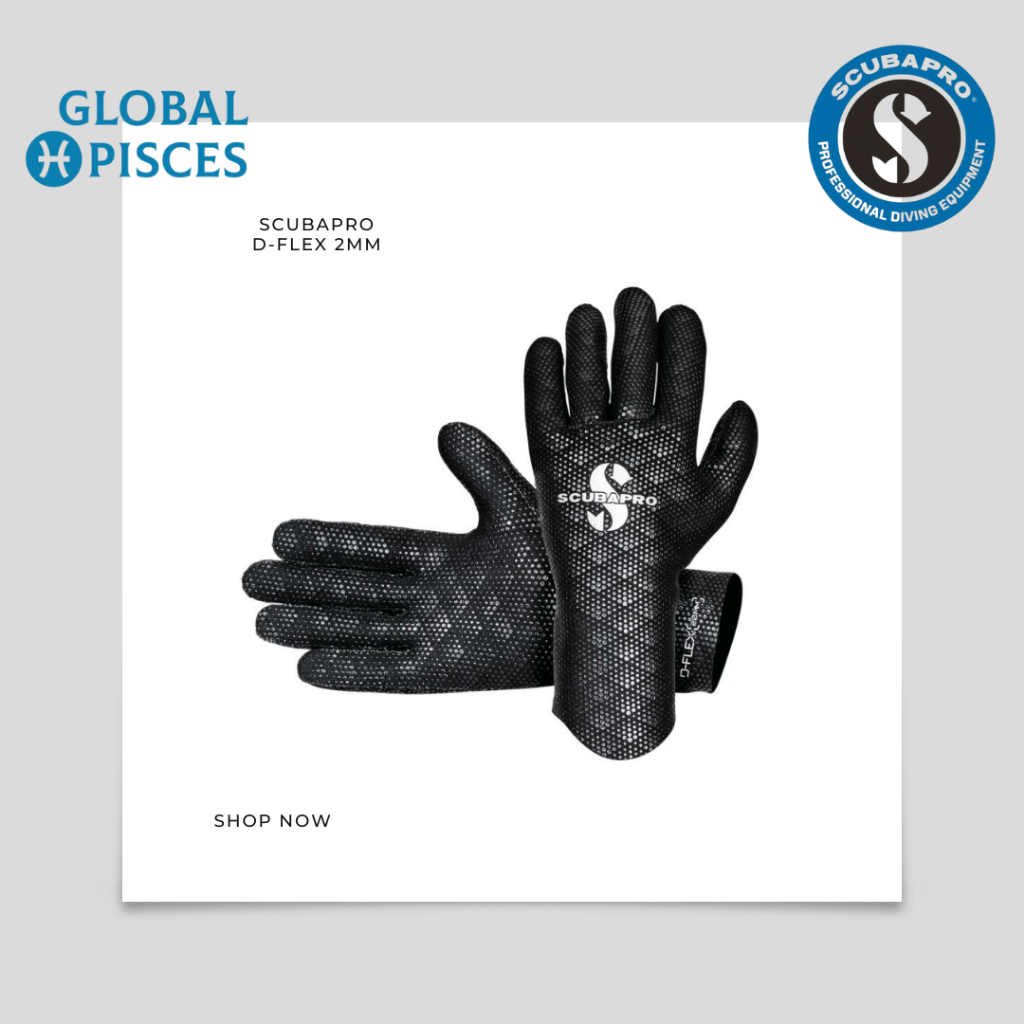 SCUBAPRO DFLEX 2MM DIVING GLOVES Shopee Malaysia