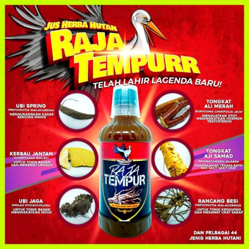 ( 1 botol ) Jus Raja Tempur Original HQ .100% Rebusan Akar Kayu Hutan ...