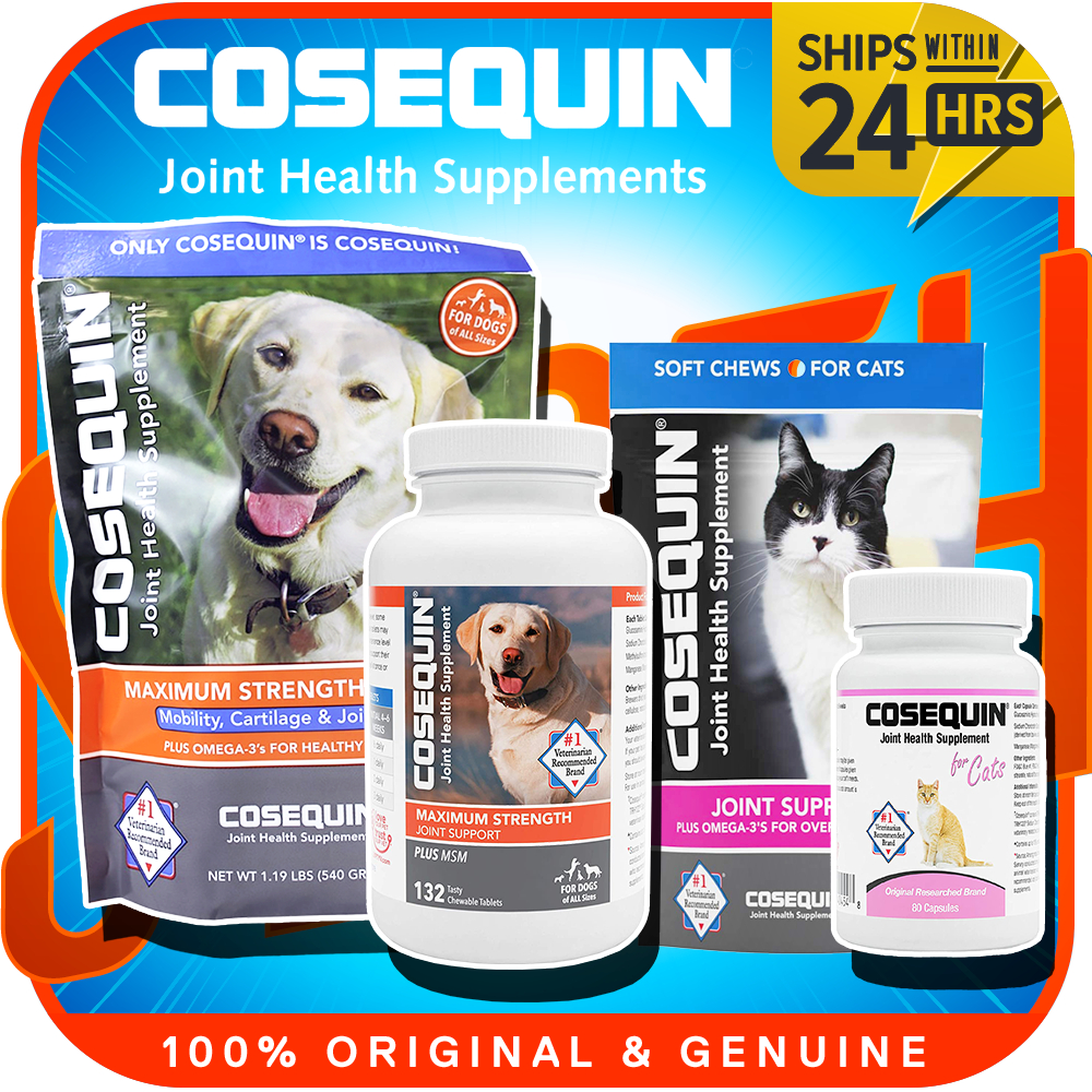 Cosequin soft outlet chews for cats