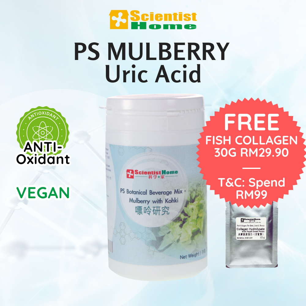 SCIENTIST HOME PS Mulberry Kohki Uric Acid Gout Flush Out Antioxidant