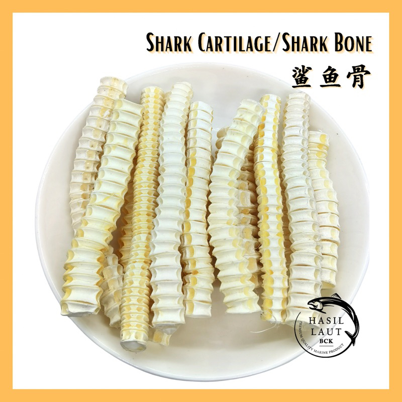 Shark Cartilage/Shark Bone 鲨鱼骨 (1KG) | Shopee Malaysia