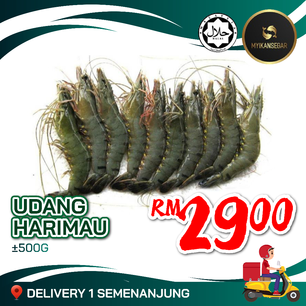 UDANG HARIMAU (500G/1KG) UDANG HARIMAU FROZEN FOOD UDANG SEAFOOD FROZEN