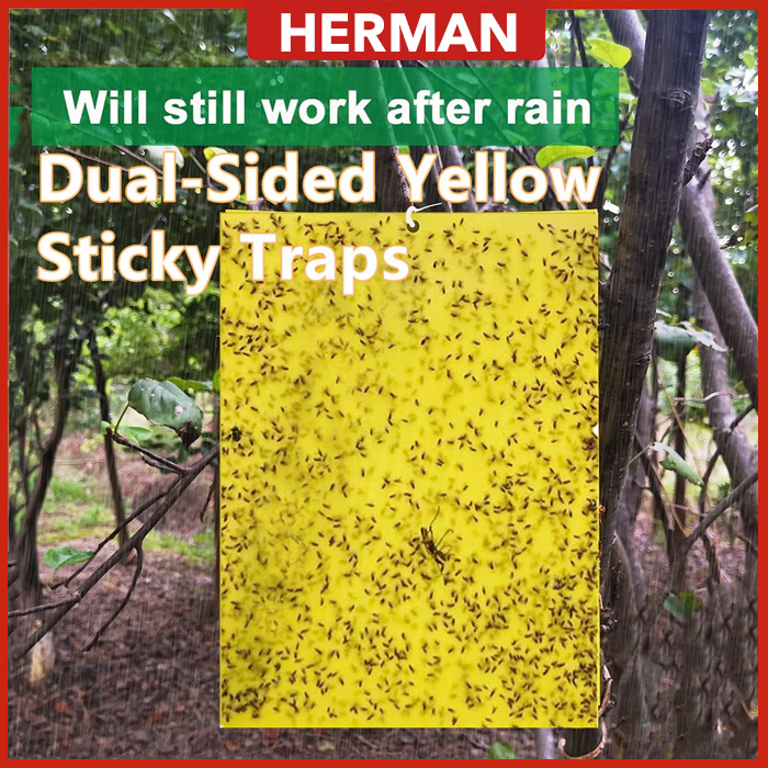 Pelekat serangga Double-Sides Yellow Sticky Trap Flies Trap Insect ...