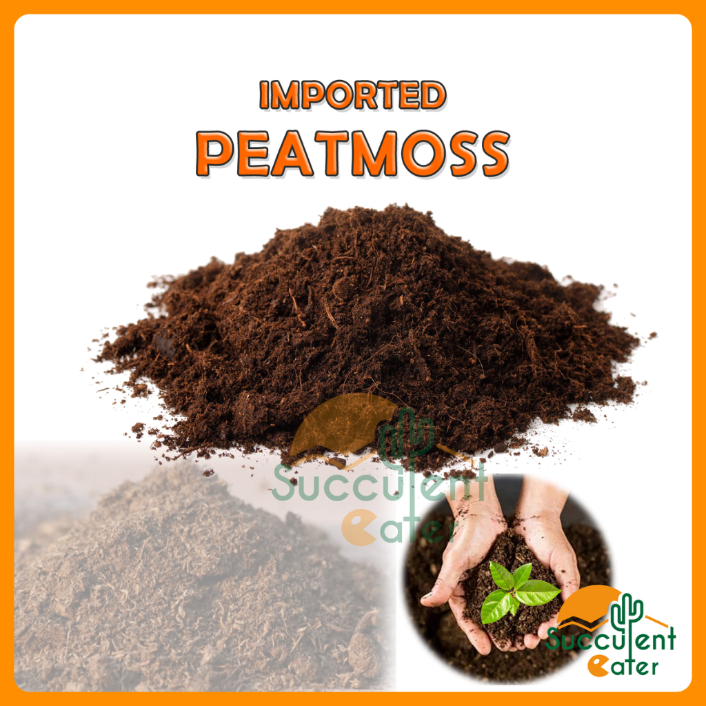 Peatmoss Imported Coarse Grade Peat moss Soil for Seedings Substrate ...