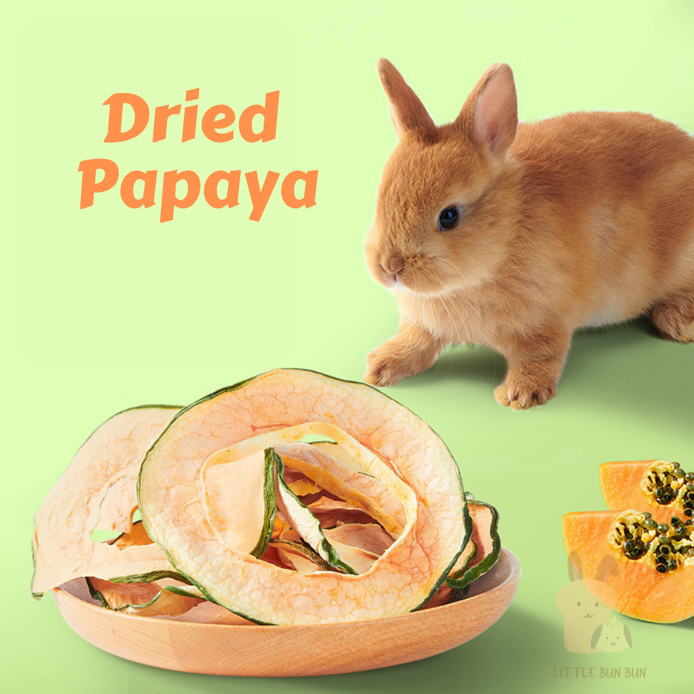 Dried Papaya (30g)rabbit guinea pig snack fruit natural treat food