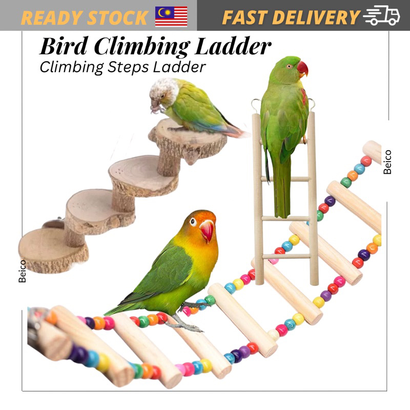 Bird Cuttlebone Holder Bird Platform Perch Playground Natural Wood