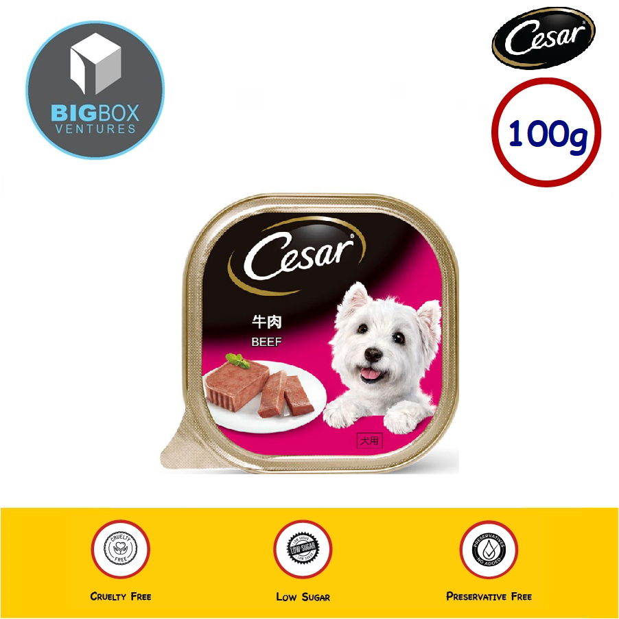 CESAR Dog Food Tray Dog Wet Food 100g / Naturally Crafted in Australian ...