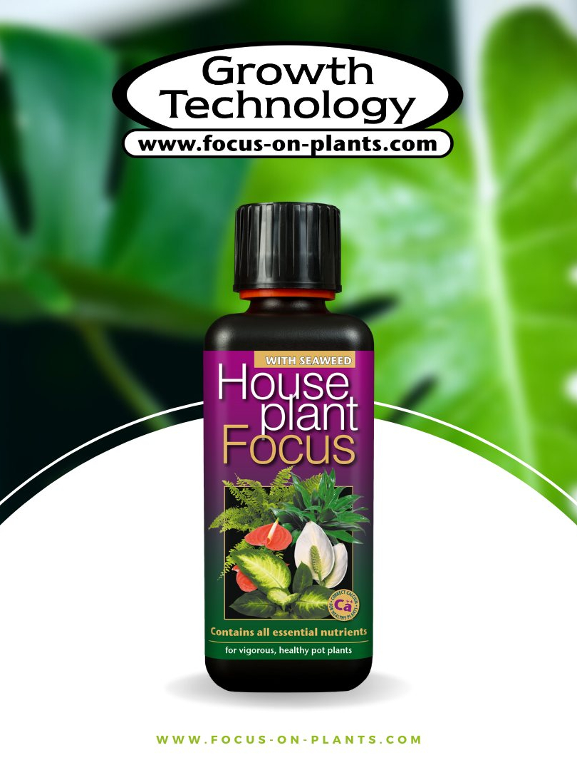 Growth Technology Houseplant Focus (Plant Nutrient, Plant Fertilizer