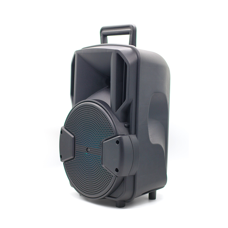 8" speaker unit portable trolley Portable Pa Speaker with TWS/Mic