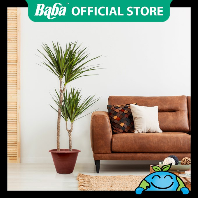 Ready Stock | Baba Official | Baba TN-3467/3468/3469/3470/3471 Flower ...