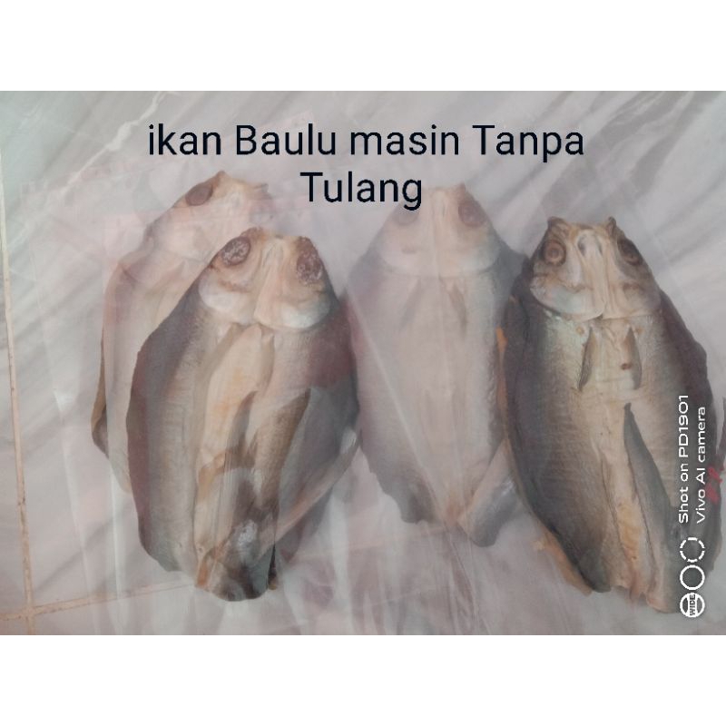 Ikan Masin Ikan Bauluikan Susu Tanpa Tulang Shopee Malaysia