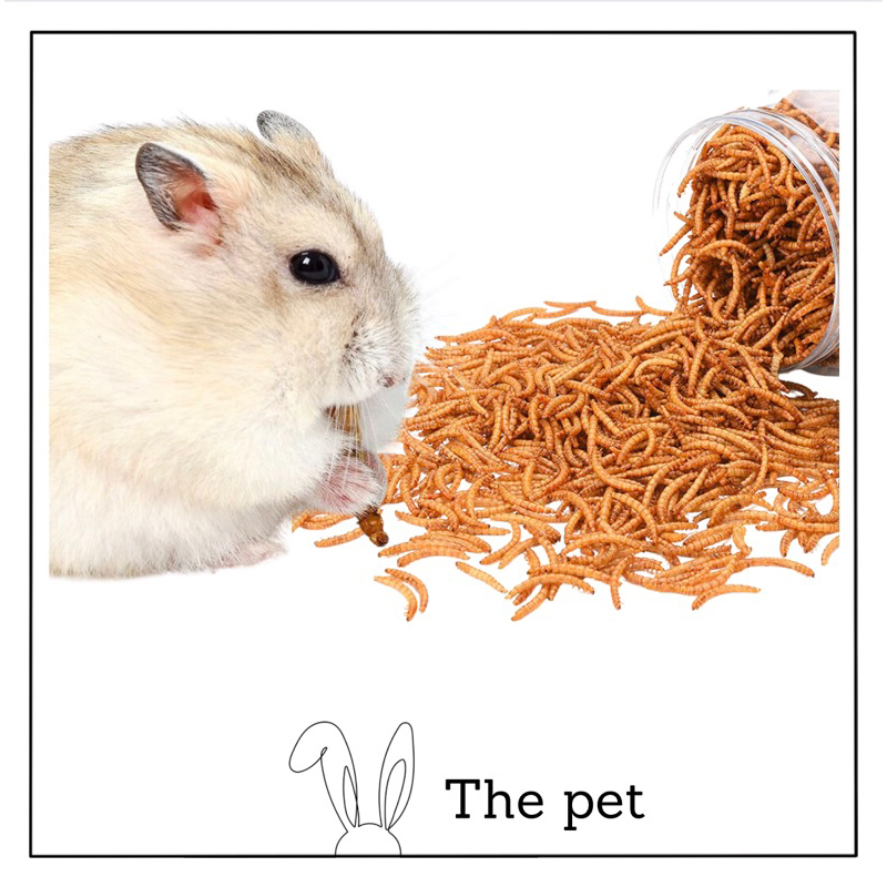 Dried Mealworm Hamster Snack Hedgehog Sugar Glider Parrots Bird Chicken