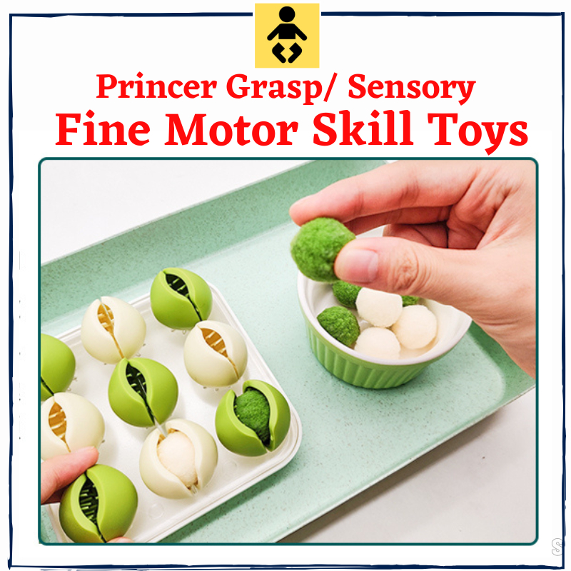 Sensory Training l Baby Two Finger Pincer grasp Fine Motor skills Early