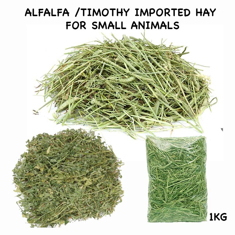 Picture Idea: Alfalfa Timothy Imported Hay For Small Animals Bunny Rabbit Guinea