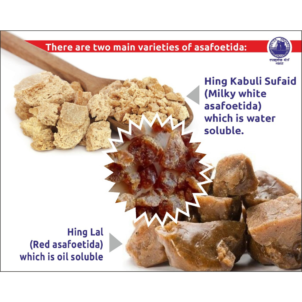 red/ white hing Asafoetida gum / powder (Ferula assafoetida) dried