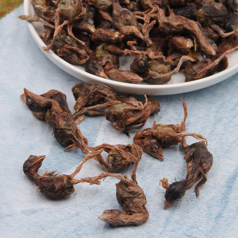 FreezeDried Quail / Pet Snacks / MAKANAN ANJING & KUCING / BekuKering